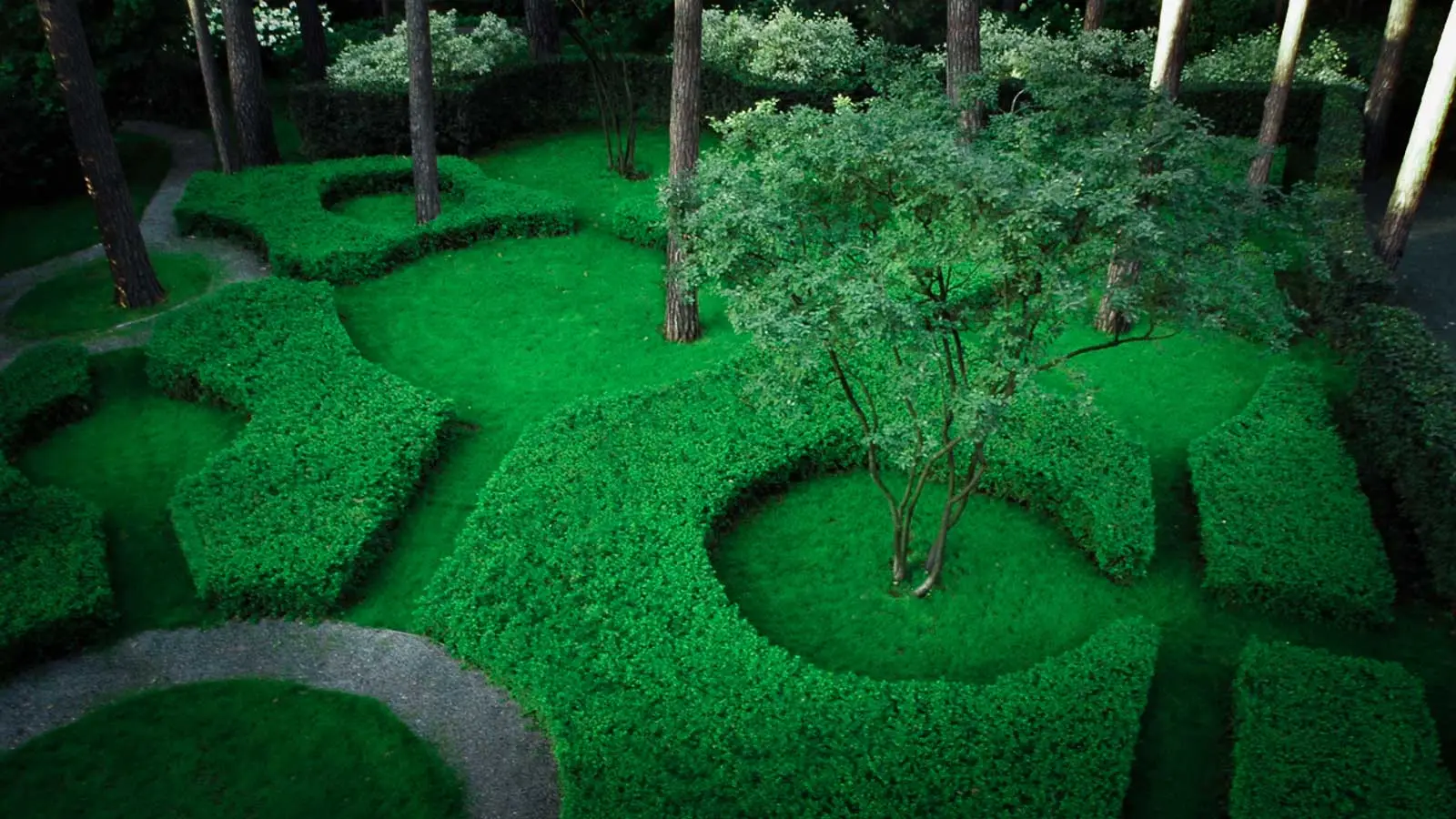 Landscape